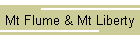 Mt Flume & Mt Liberty
