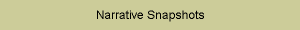 Narrative Snapshots