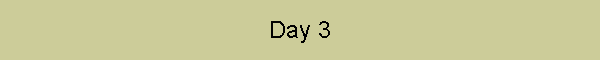 Day 3