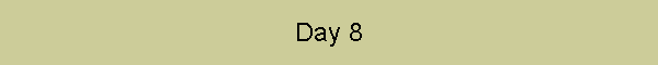 Day 8