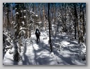 pict0096.jpg
