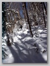 pict0097.jpg