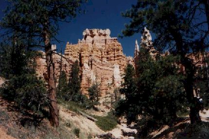 Bryce3.jpg (38274 bytes)