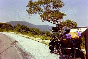 Skyline Drive Overlook photo